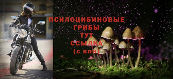 MDMA Алексин